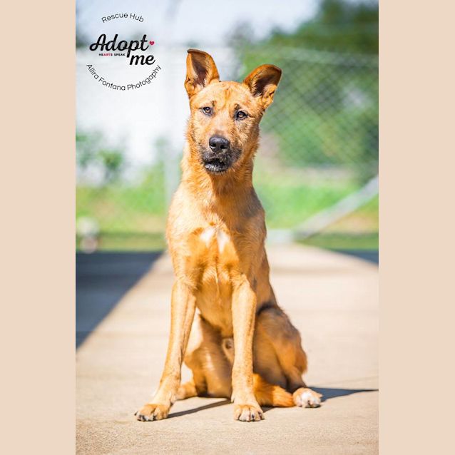 Photo of Crumpett (Hsc 07)