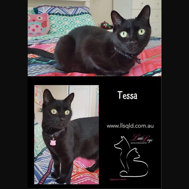 Photo of Tessa