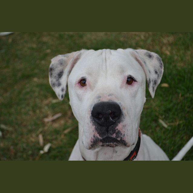 Photo of Jake
