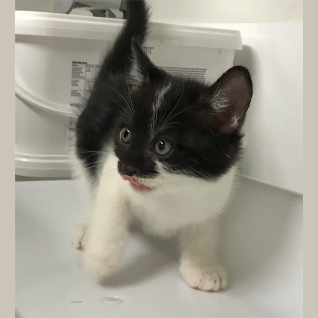 Photo of Edna