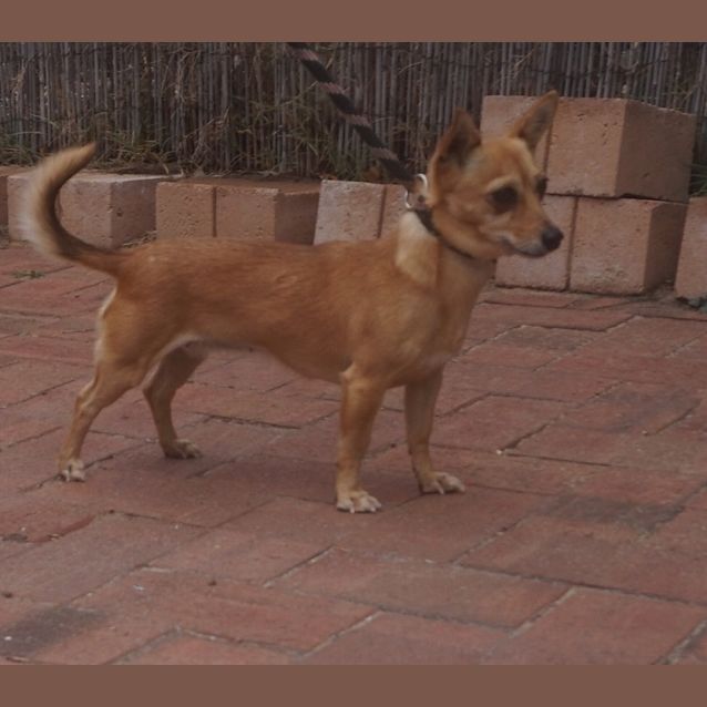Photo of Chiquita