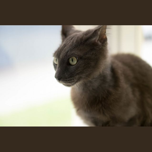 Photo of Smokie