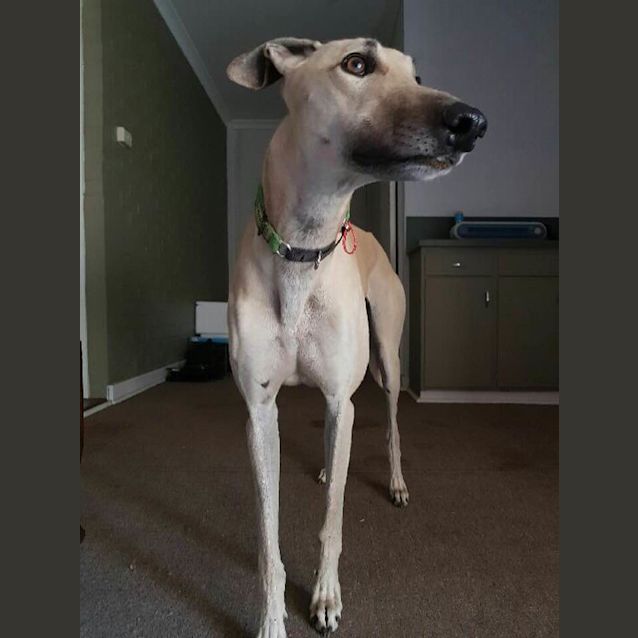 Photo of James (Av1015)