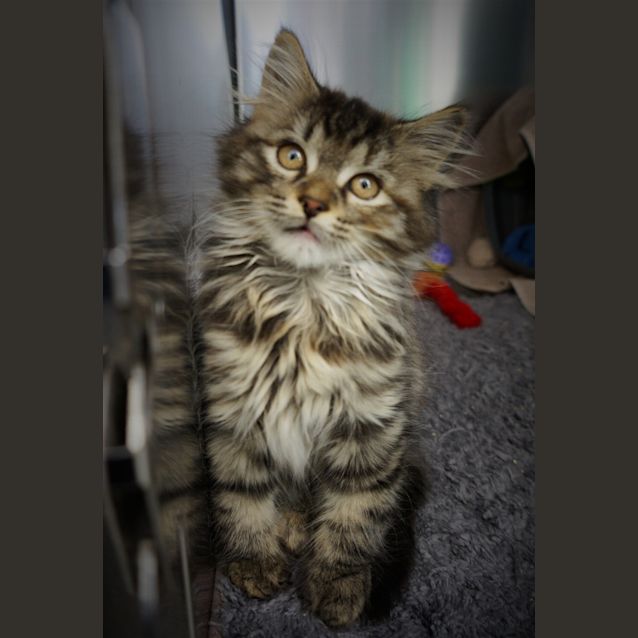 Photo of Kendra