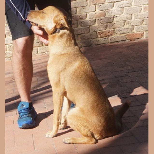 Photo of Hunter