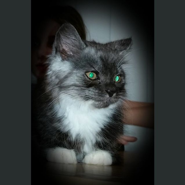 Photo of Socks