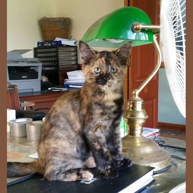 Photo of Lizzie