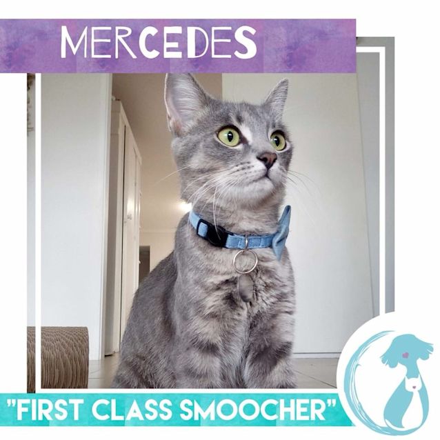 Photo of Mercedes