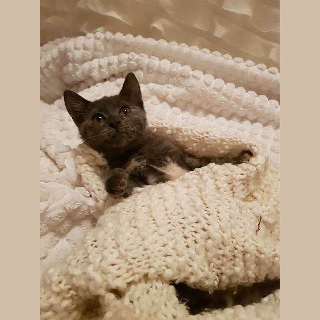 Photo of Storm