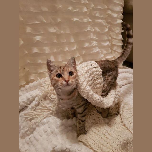 Photo of Matilda