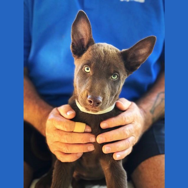 Photo of Coal 