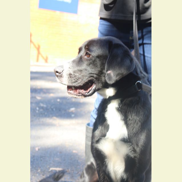 Photo of Buddy