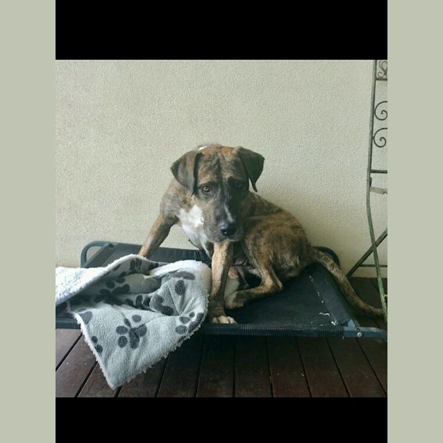 Photo of Kimba