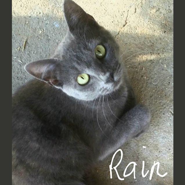 Photo of Rain   Beautiful In Blue