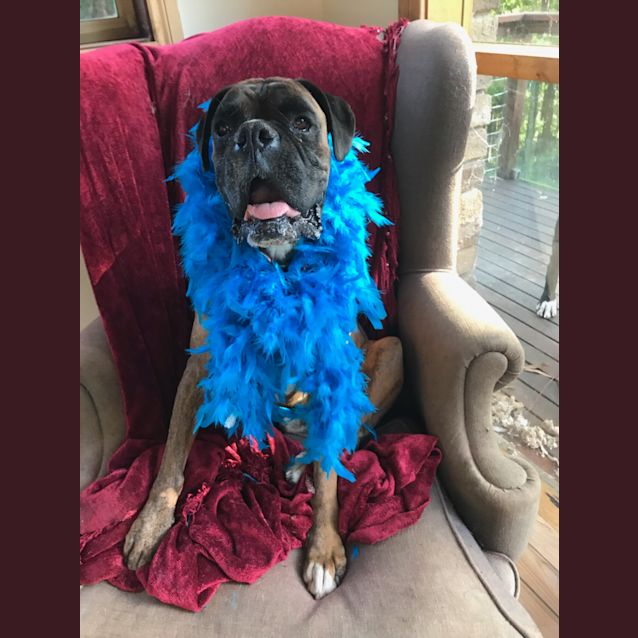 Photo of Diesel 