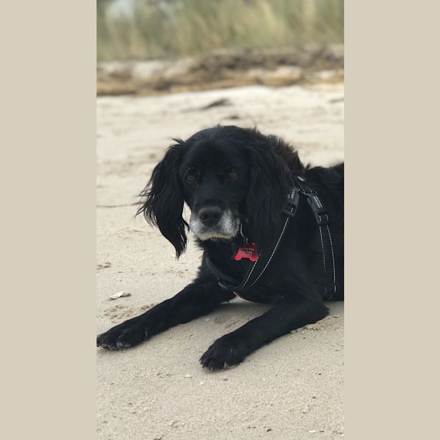 Photo of Ben♥️