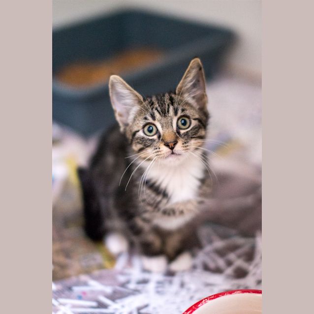 Photo of Starski