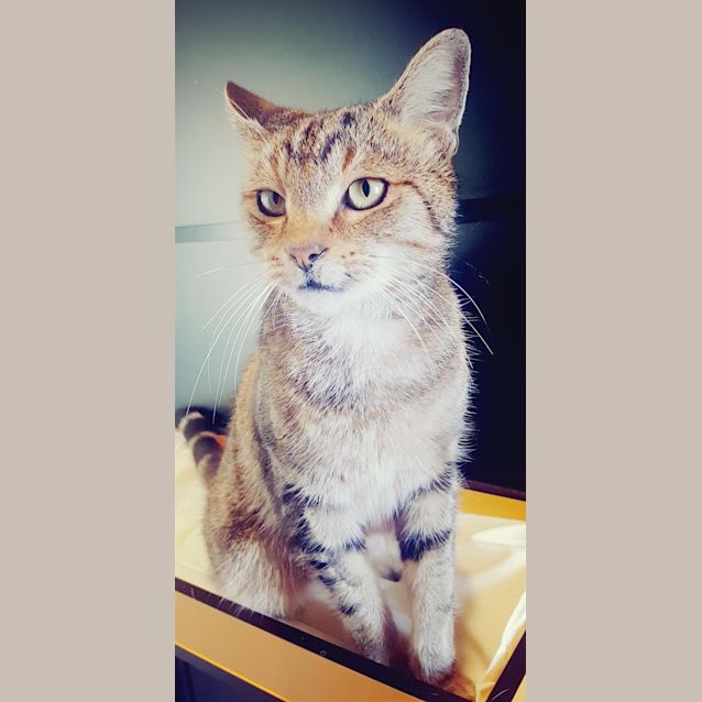 Photo of Ralf