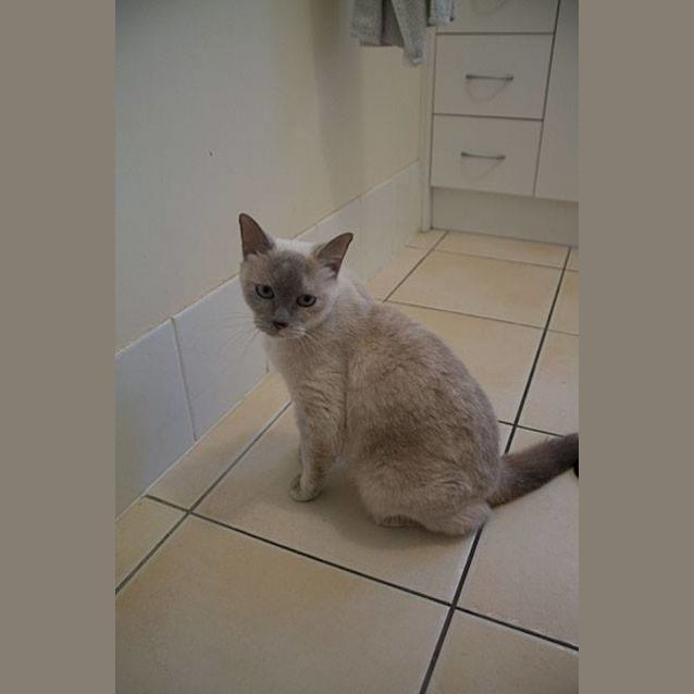 Photo of Sadie