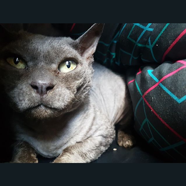 Photo of Grumbles