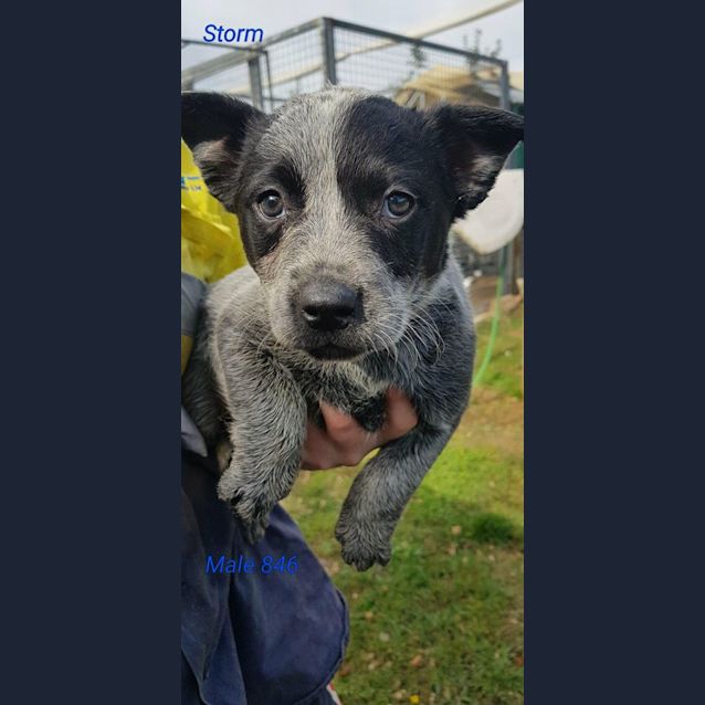 Photo of Storm