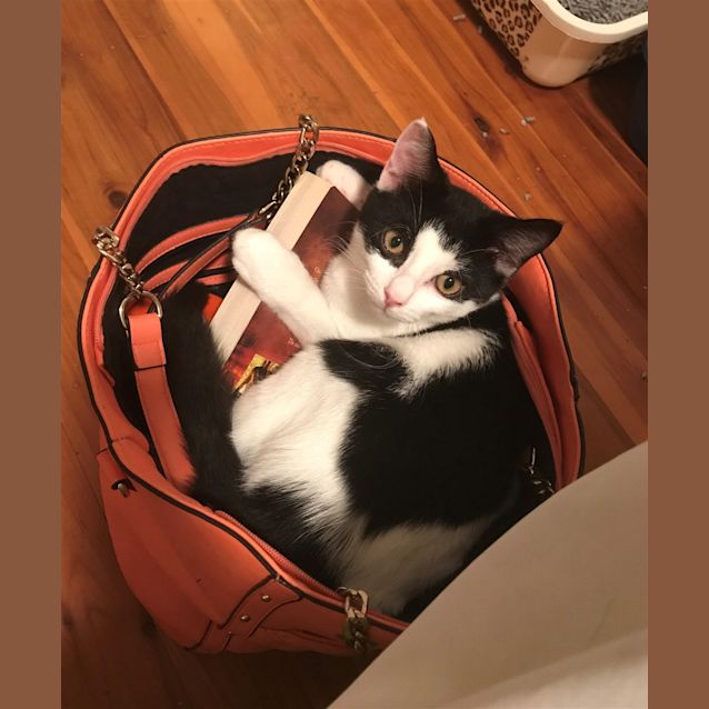 Photo of George