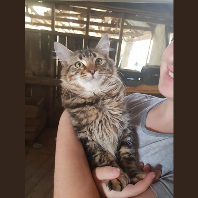 Photo of Max