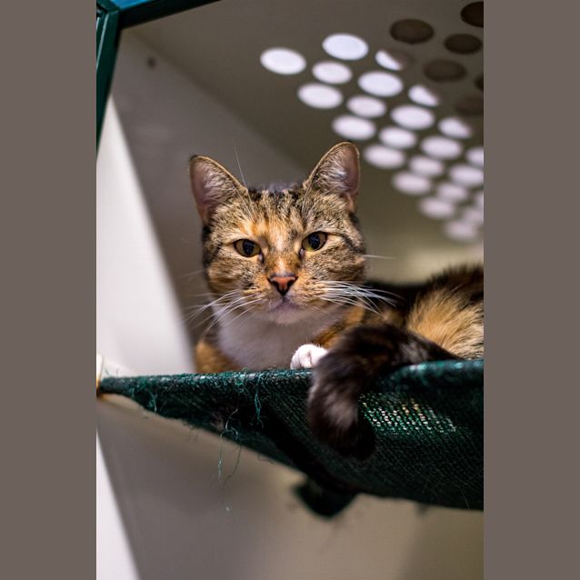 Photo of Tiny Dancer