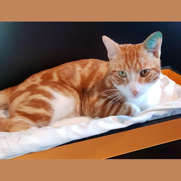 Photo of Gus