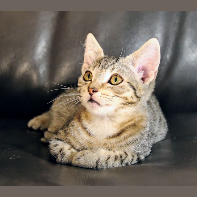 Photo of Bobbie 