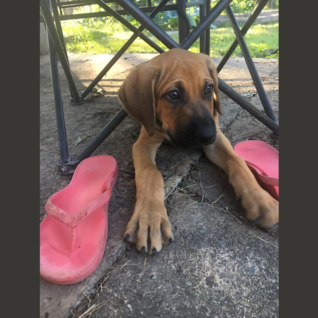 Photo of Bud 