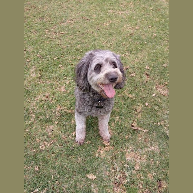 Photo of Billy