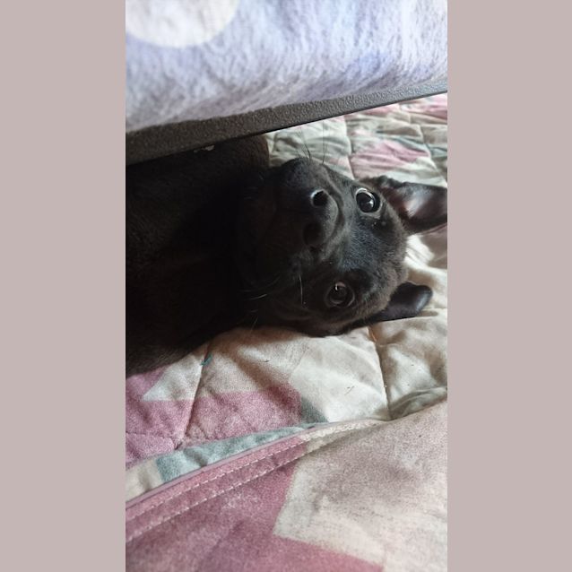 Photo of Uno 