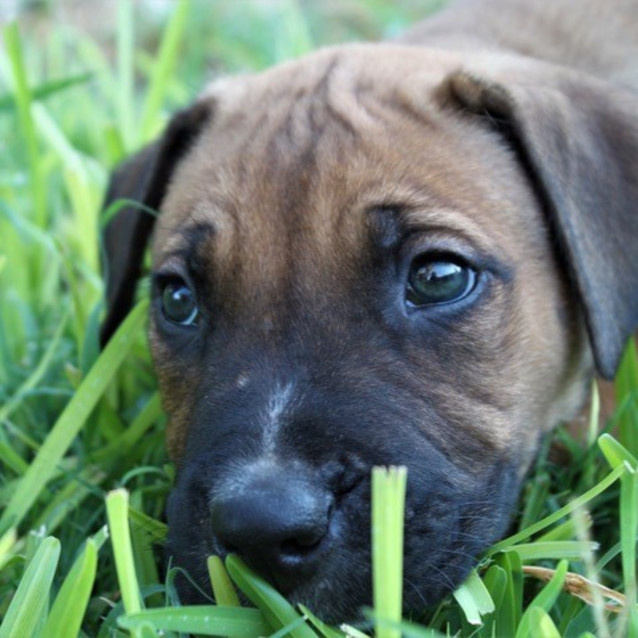 Photo of Vaughn D3842