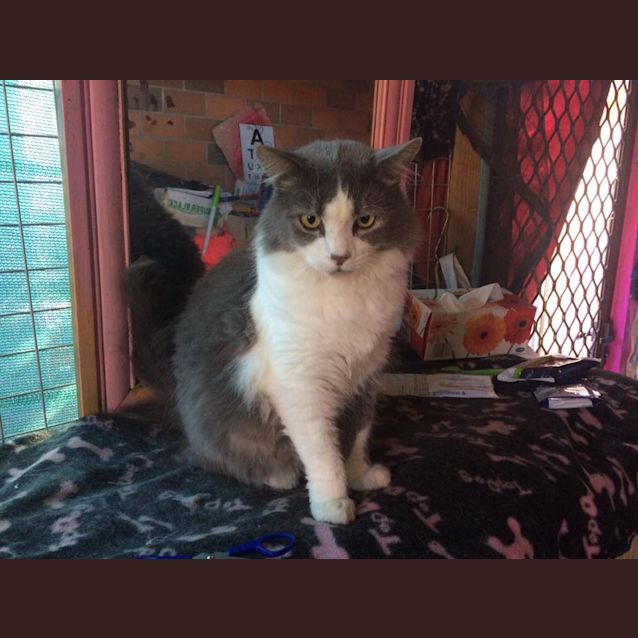 Photo of Mr. Handsome 2