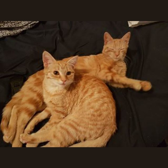 Photo of Skinny Minnie