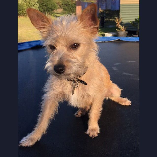 Photo of Harry Ed0142 