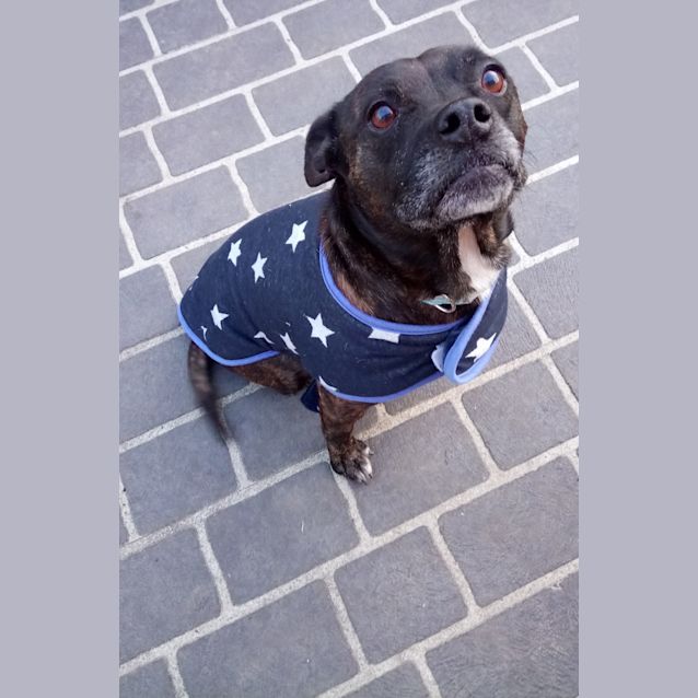 Photo of Cena Such A Great Guy!