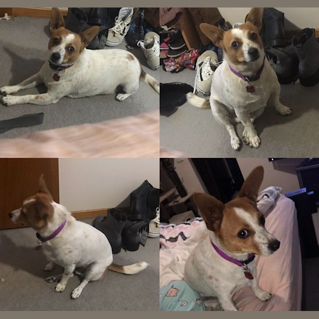 Photo of Wally