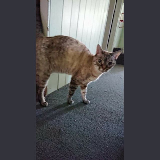 Photo of Kerrie