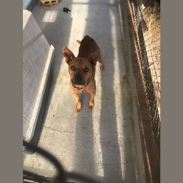 Photo of Ace