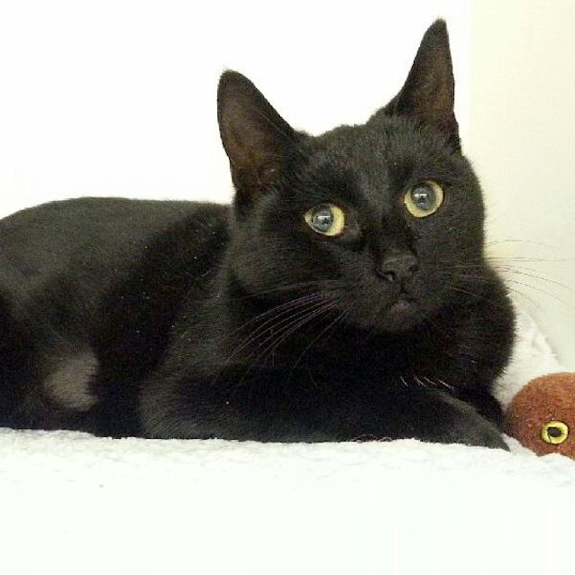 Photo of Celia