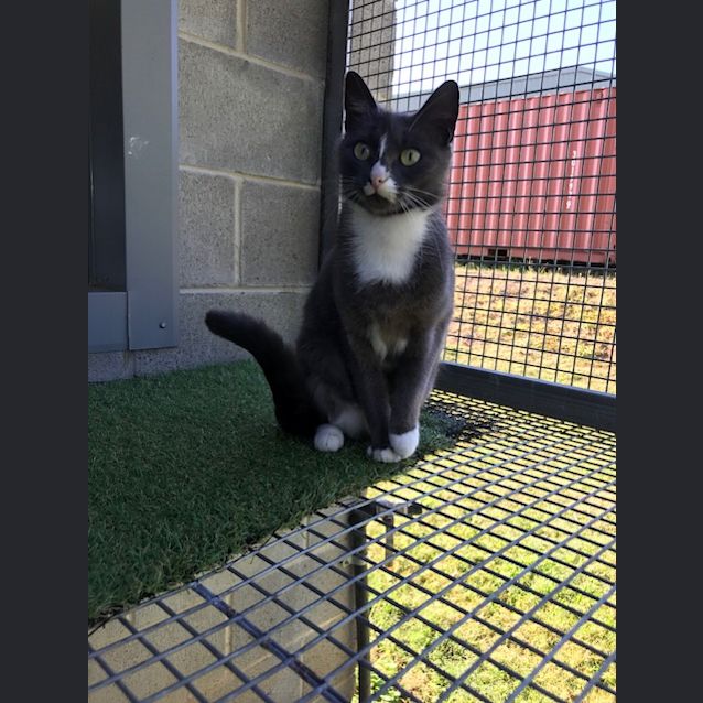 Photo of Storm