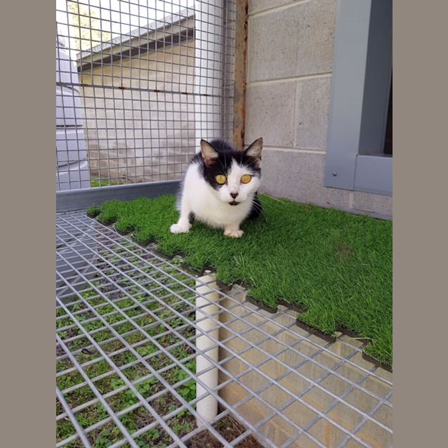 Photo of Luna