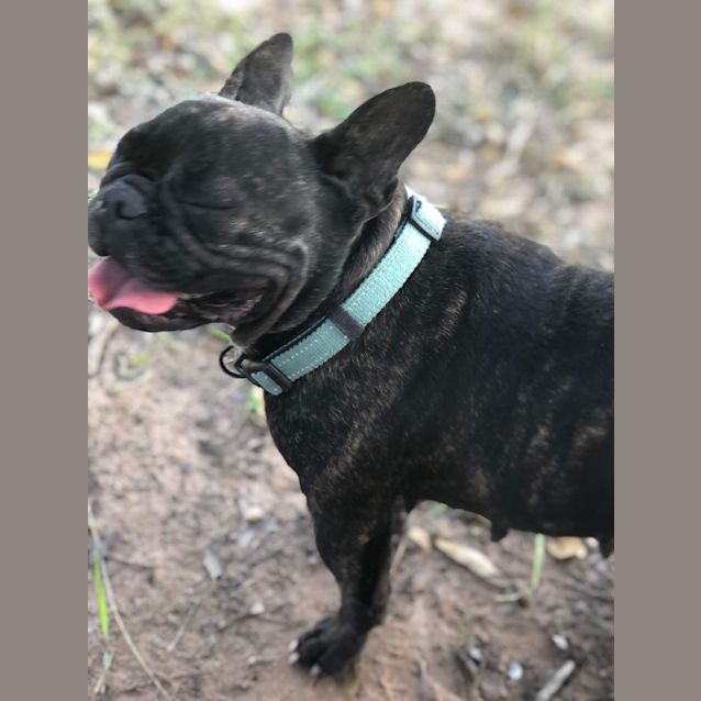 Photo of Lenny 💖