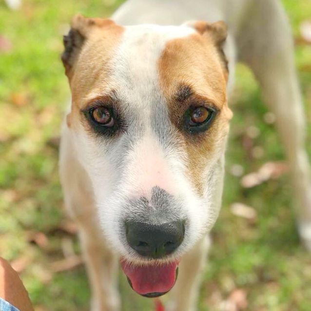 Photo of Chloe (Db362)