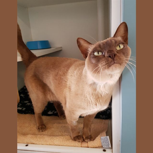 Photo of Mimi