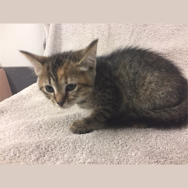 Photo of Wednesday