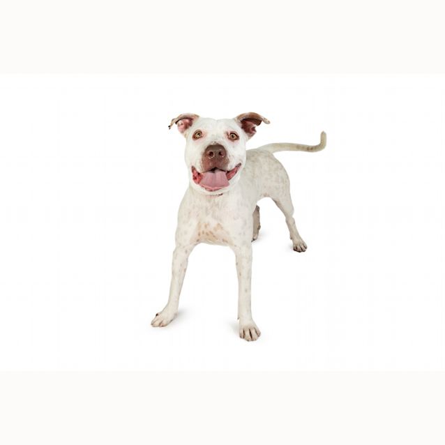 Photo of Zula