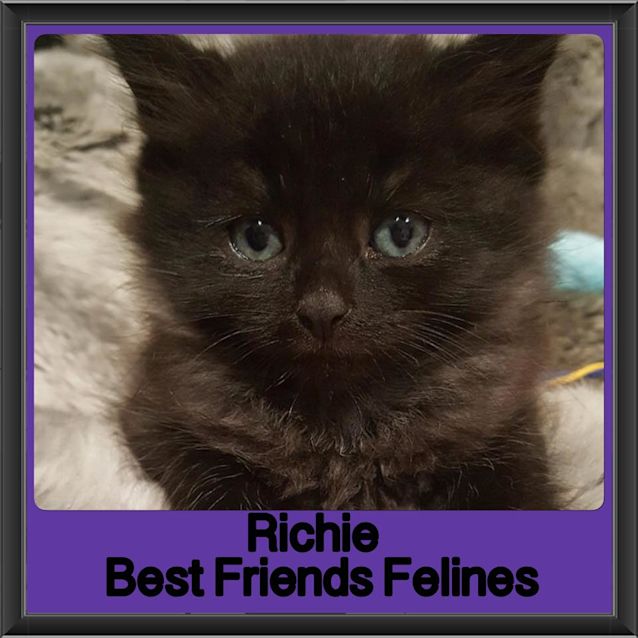 Photo of Richie 